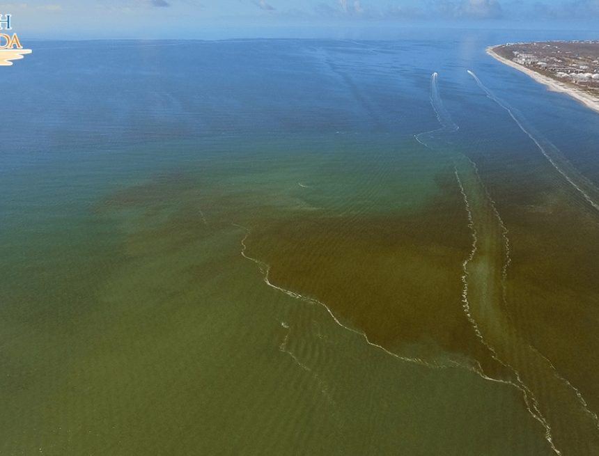 Contaminated water plaguing Southwest Florida shores