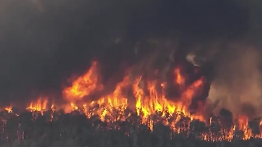 Second Brush Fire Burns in Western Miami‑Dade Amid Heat Advisory