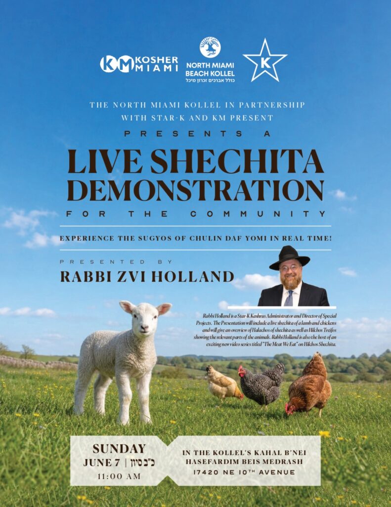 LIVE SHECHITA DEMONSTRATION FOR THE COMMUNITY   EXPERIENCE THE SUGYOS OF CHULIN DAF YOMI IN REAL TIME!