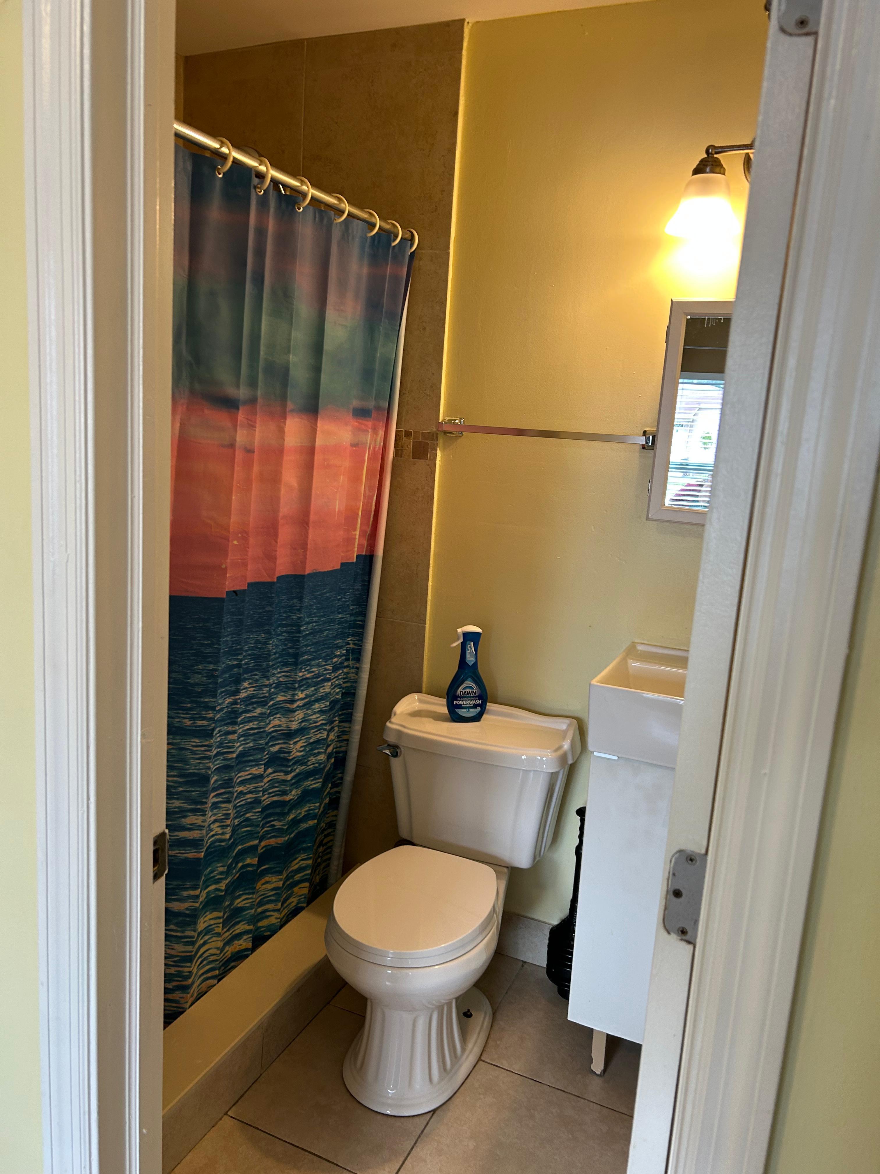 Fully Remodeled Home with Pool & Suite